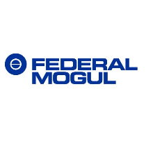 Federal Mogul 10